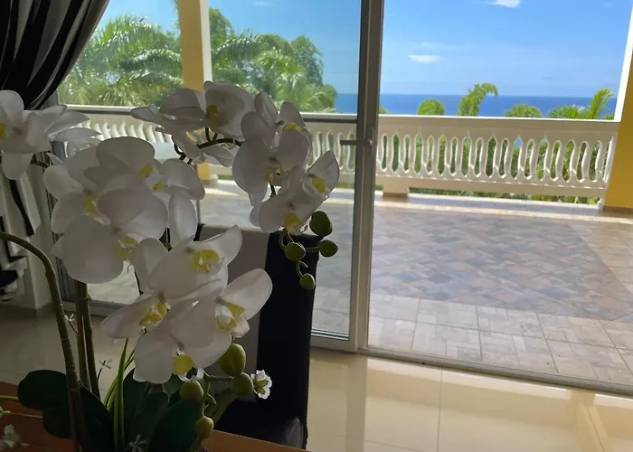 Spring Garden Mobay Luxurious Apartamento *
